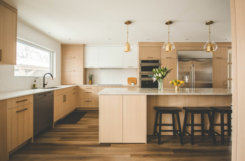 Sleek Modern Mid-century Kitchen